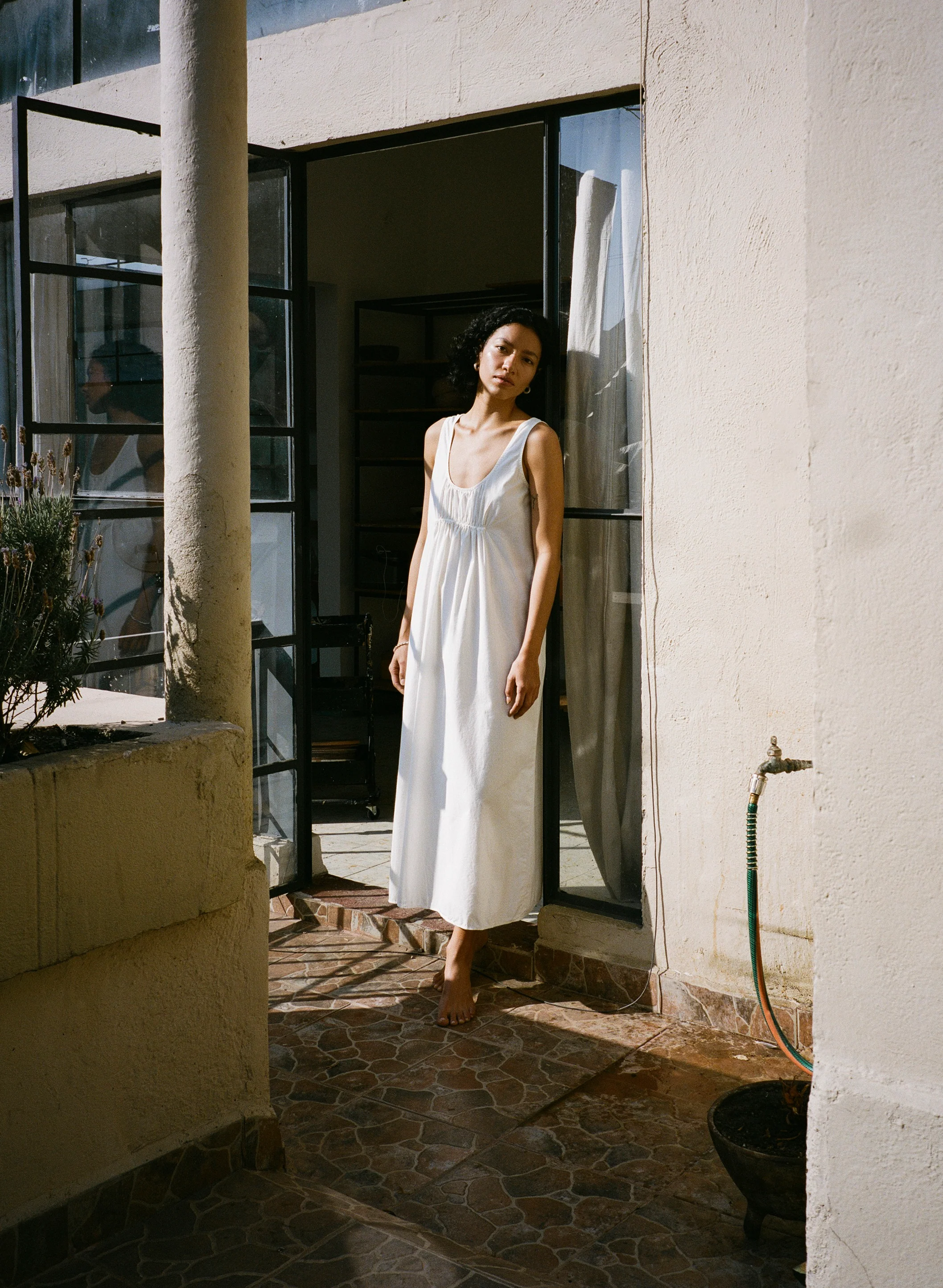 New Arrivals (Image)